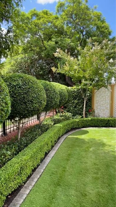 Озеленение, газон, автополив