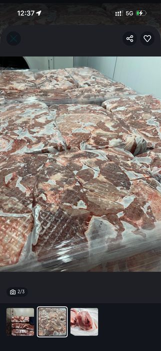 Говядина 1 сорт опт