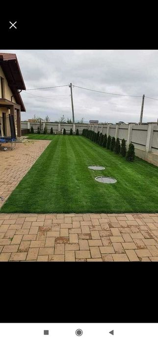 Gazon Instant pentru Curți și Grădini–Transport și Plantare Asigurate!