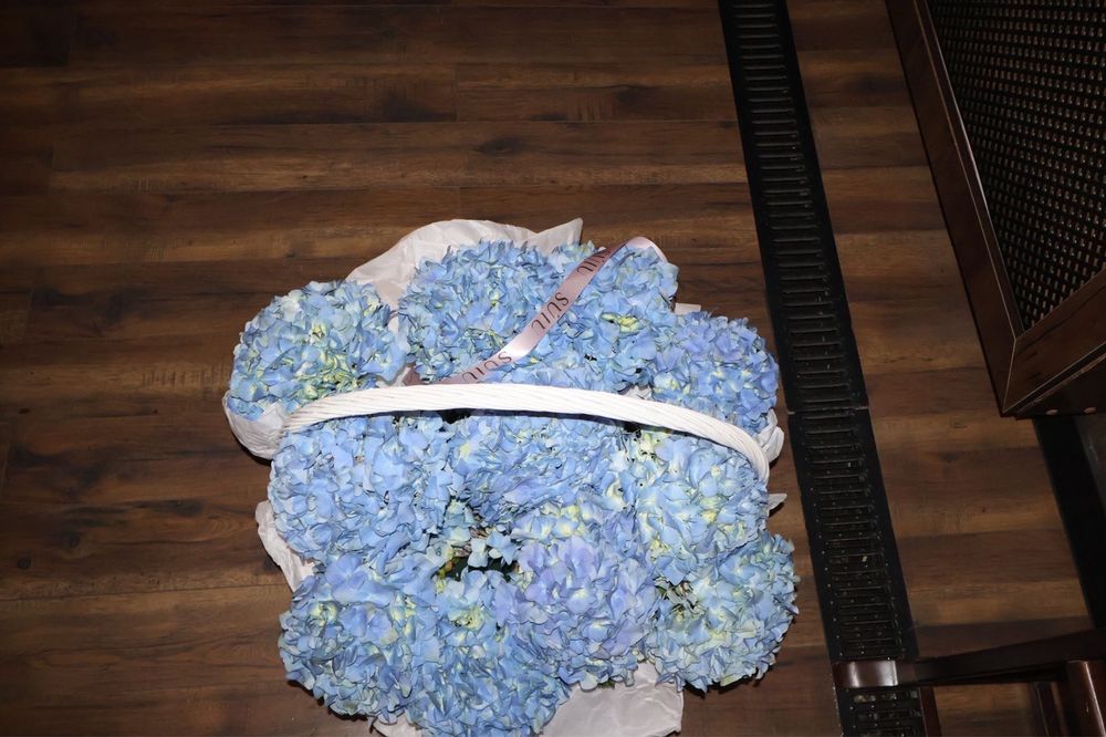 Гортензия , свежийй