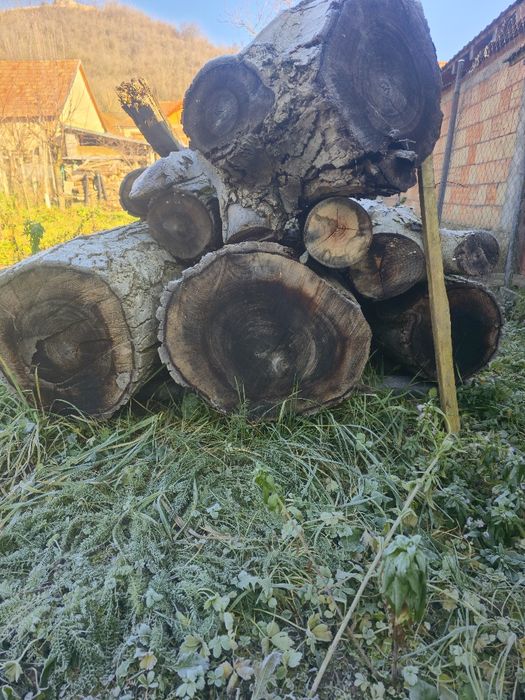 Vand lemn de NUC pret  NEGOCIABIL