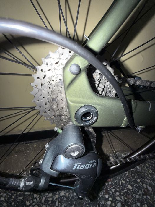 Cursiera orbea furca carbon