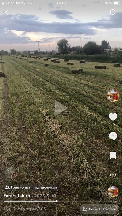 Жоңышқа Клевер 2026