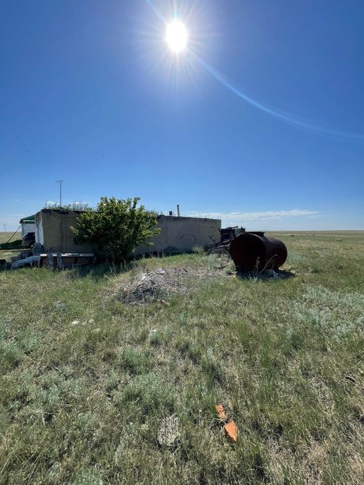 Продам КРС без скота