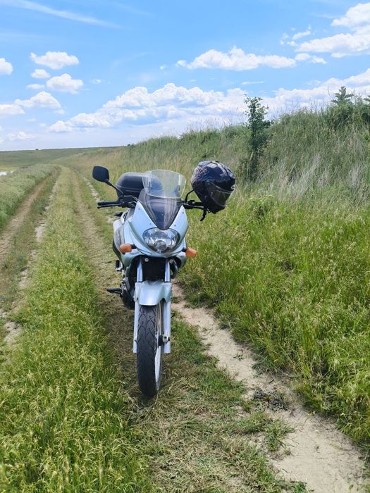 Suzuki freewind 650