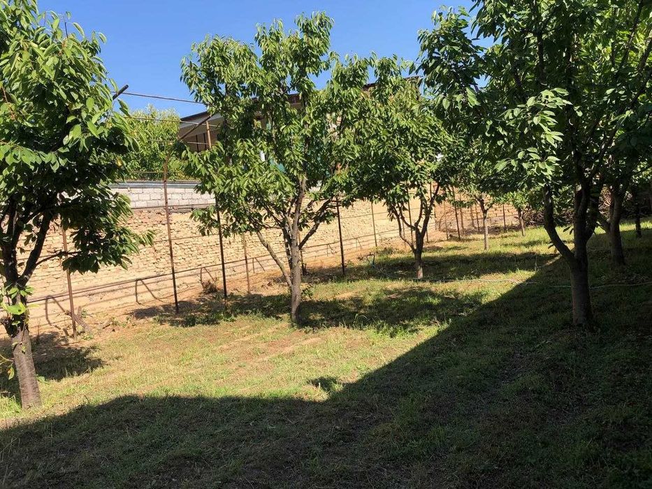 Срочна участка Сотилади