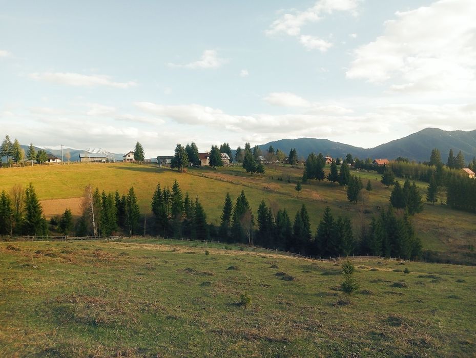Teren 10 arii – Obcioara / Piatra Fântânele, aproape de Tășuleasa Soci