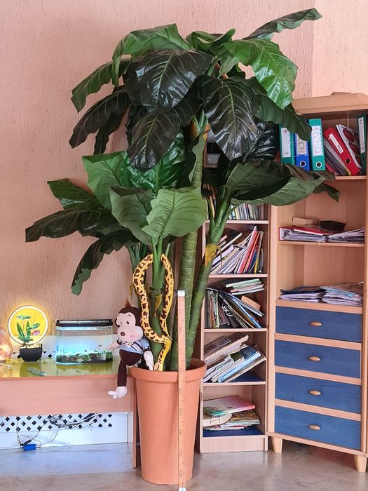 Пальма искусственная 5 стволов очень качественная