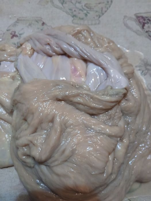 Продаю кишки коровьи и лошади