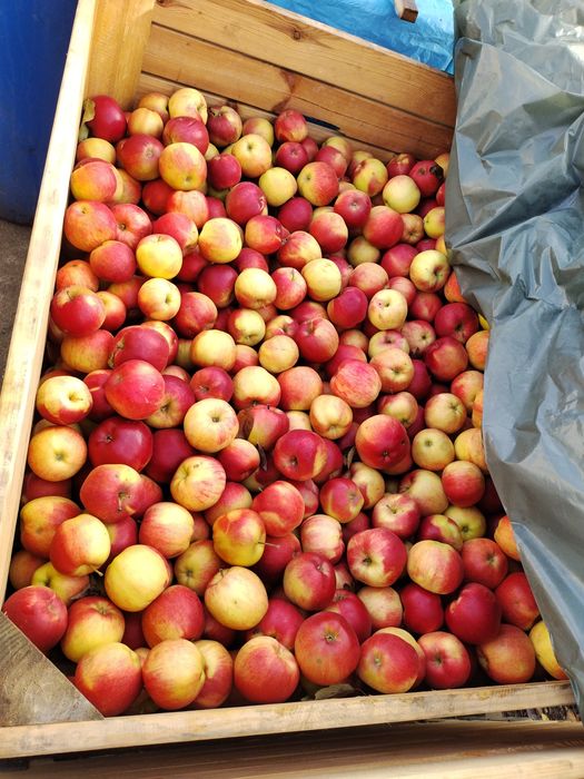 Suc de mere natural 100%