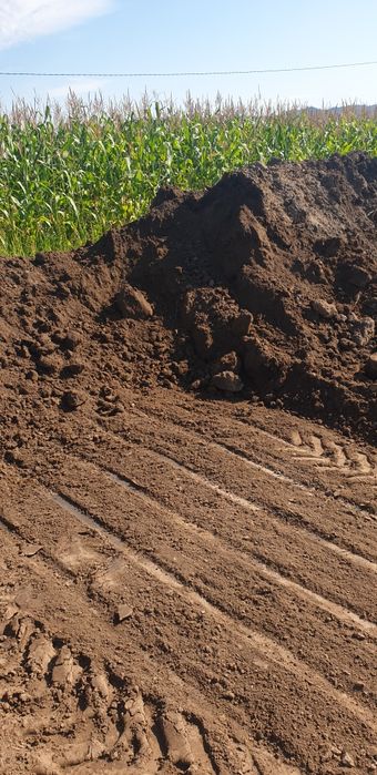 Vând pământ vegetal