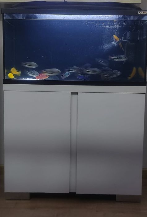 Продам аквариум aguael