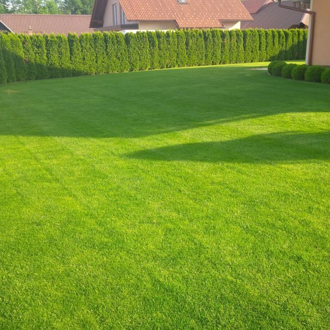 Amenajări grădini & întreținere spații verzi în Bacău