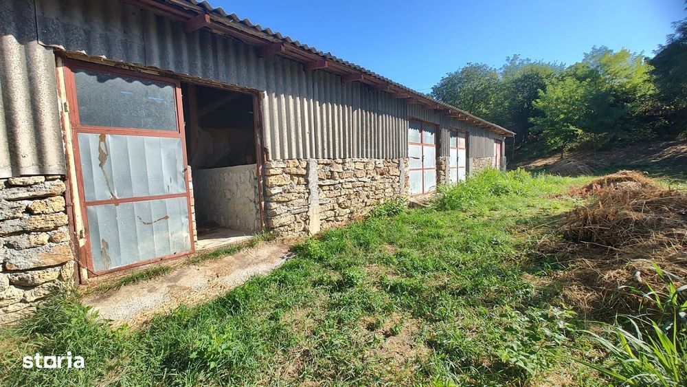 Vânzare Casă + Teren 1.330 Mp – Răpolțel, Județul Hunedoara