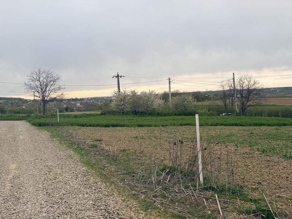 Loturi de teren 800-900 mp Gaz-apa-curent M Doamnei