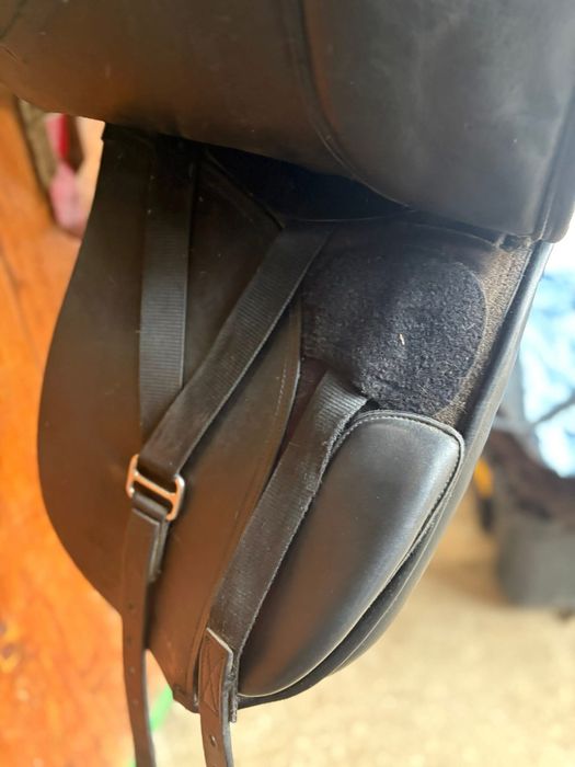 Sa dresaj Waldhausen 17.5