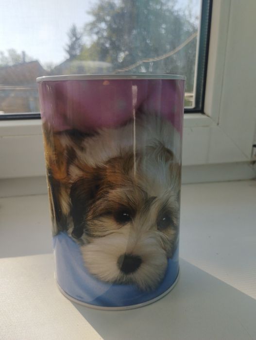 Банка для накопления денег