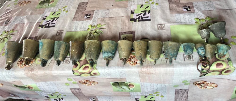 Стари Чанове 17 бр.