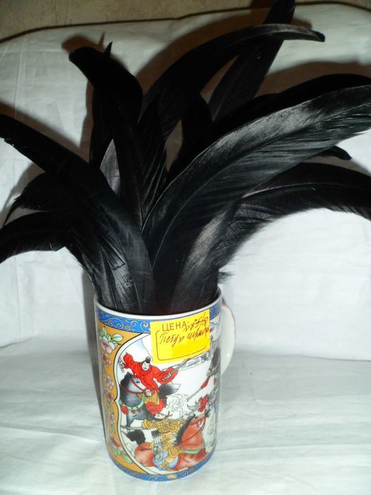 Перья Петуха черного