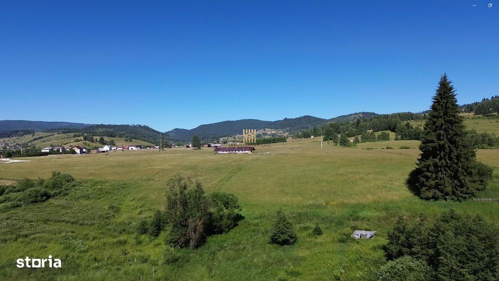 Teren in Bucovina! La Munte! De vanzare!