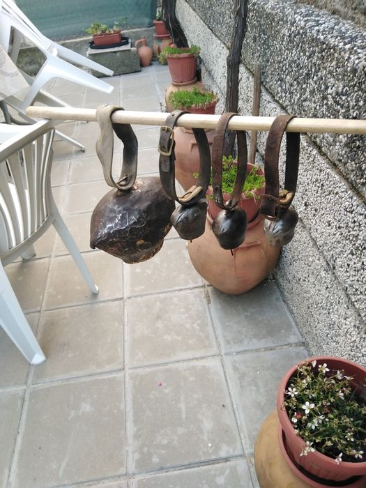 Красиви големи стари хлопки