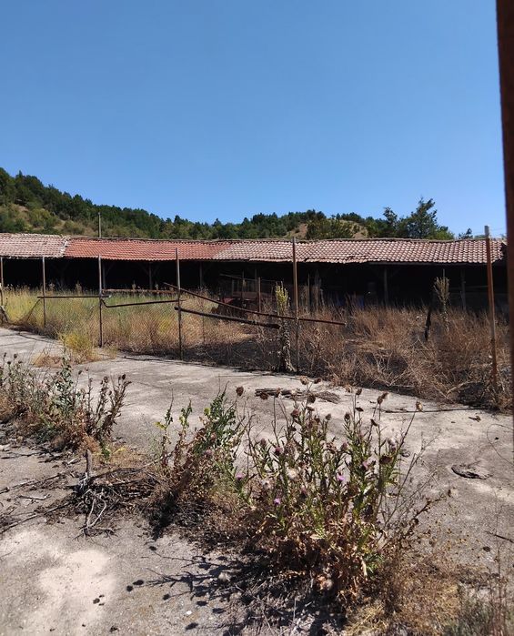 Продава се Промишлена сграда в с. Падеш, Област Благоевград - 7500 кв.м за 34 €/кв.м - Снимка #1