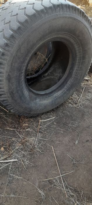 Птс 6 болоны продам