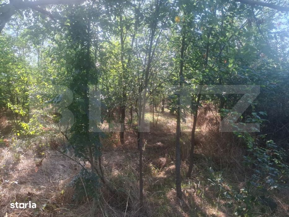 Teren extravilan de vaznare, 5000 mp, zona Matasaru