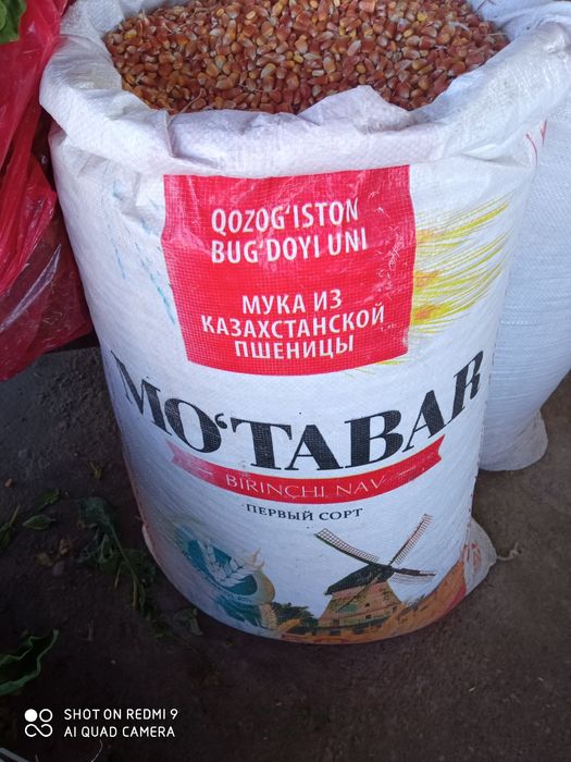 Makajohori 120kunlik 5500ming