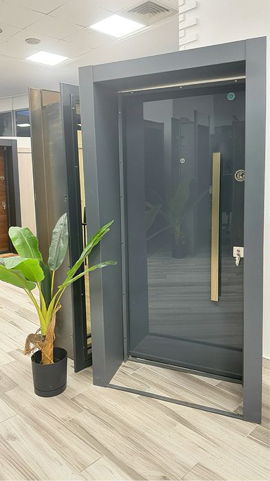 Входна врата за външни условия One glass