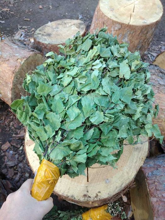 Березовые веники