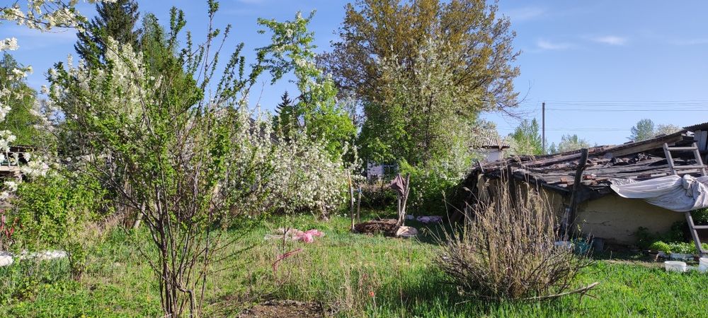 Продам дом: 3 комнаты и кухня