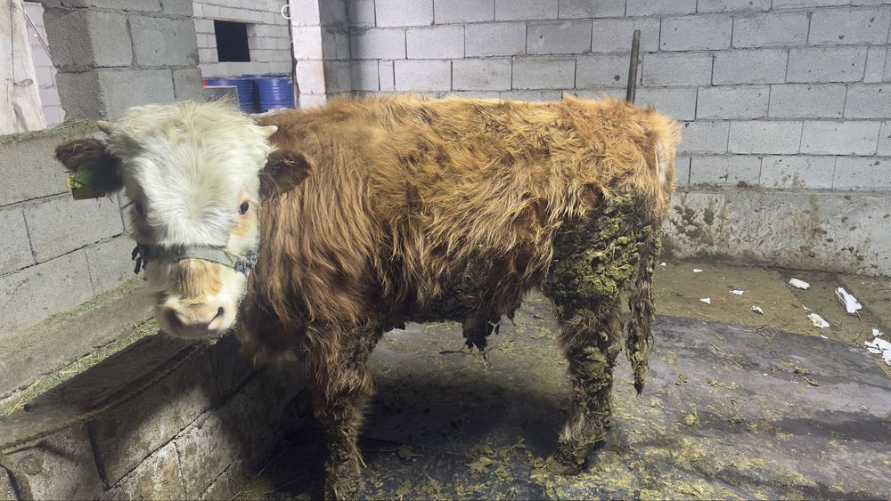 сатылады срочнооо!!!