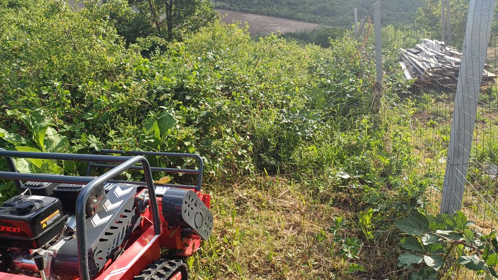 Curatare teren , tocare vegetatie,