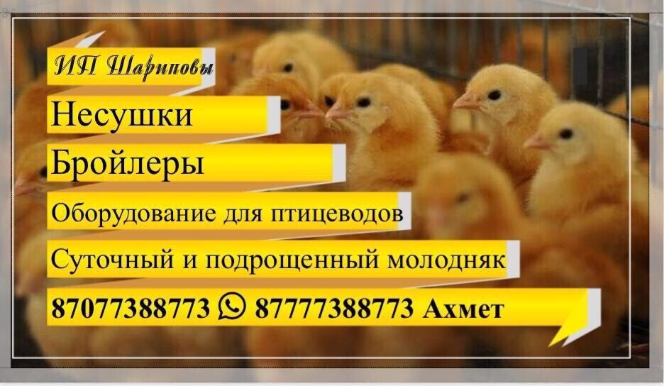 Бункерные кормушки 2 кг