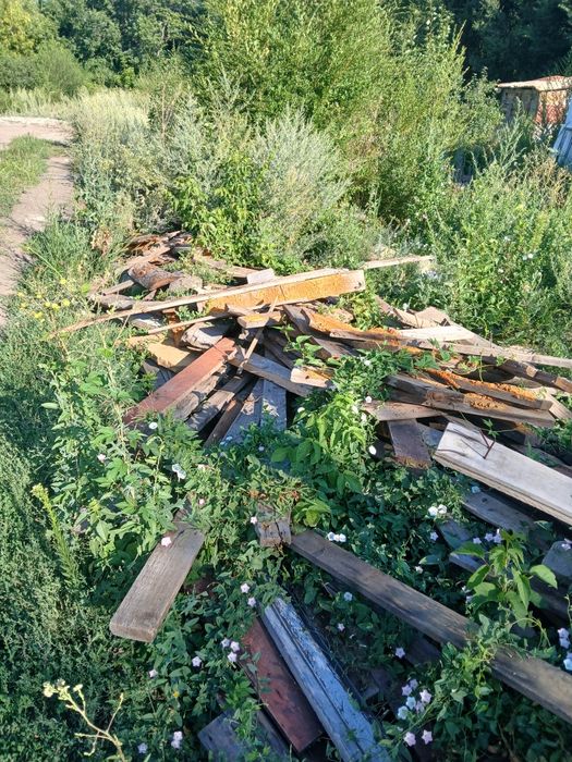 Әртүрлі ағаштар  30000тг