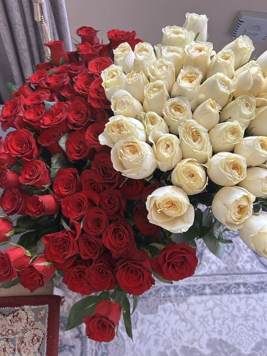 Цветы.Метровые розы