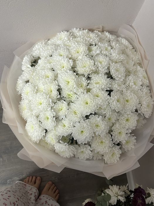 Цветы 101 шт белые хризантемы