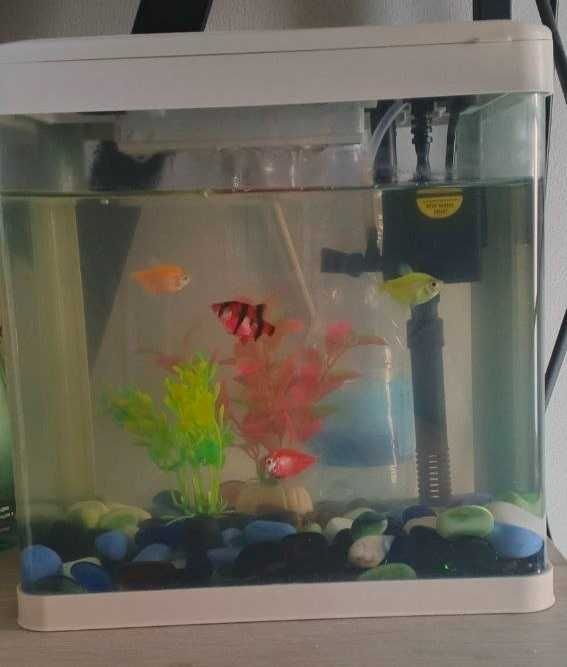 Аквариум с фильтром и освещением