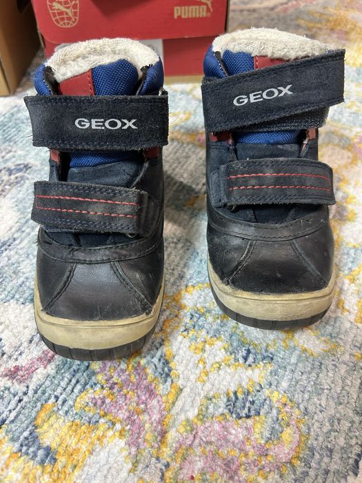 Зимние ботинки Geox