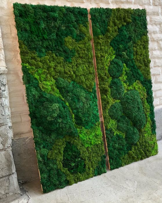 Стабилизированный мох