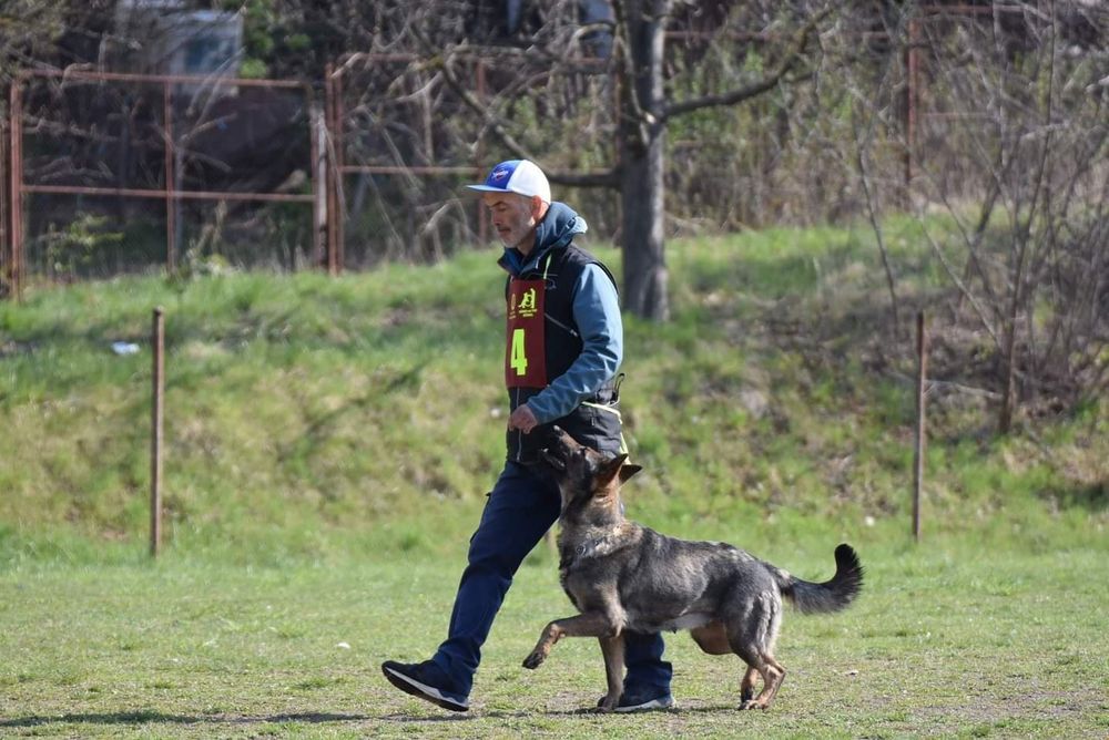 Dresaj canin Prahova (Ploiesti,Breaza,Câmpina,) Otopeni, Snagov
