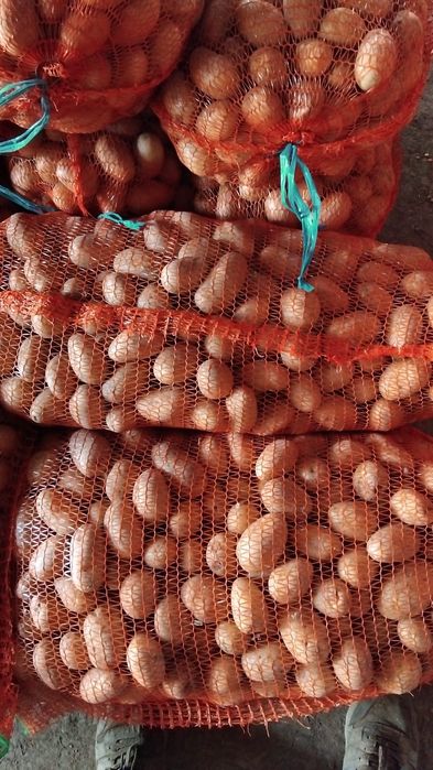 Cartofi pentru animale