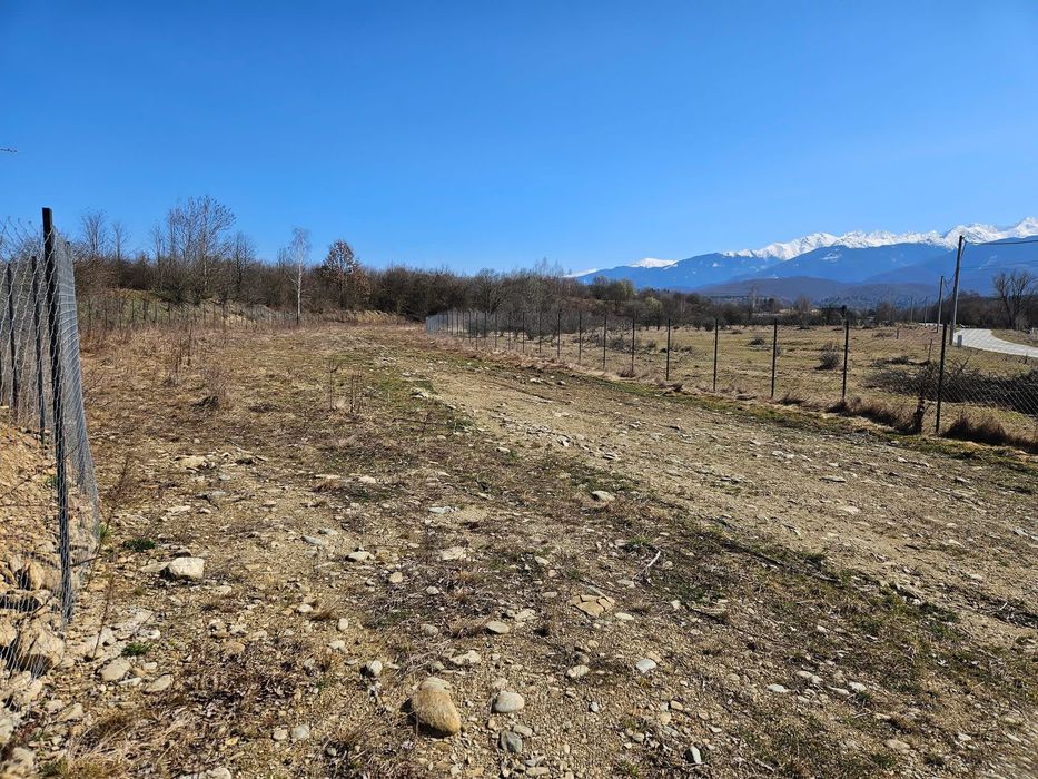 Teren intravilan 2300 mp, intabulat, împrejmuit, cu utilități, deschidere la drumul principal