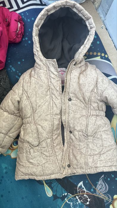 Отдам бесплатно