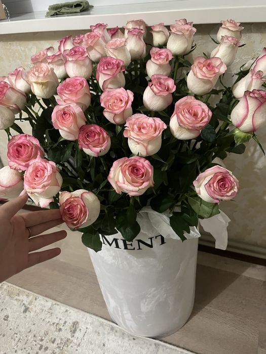 Продам срочно свежие розы!!