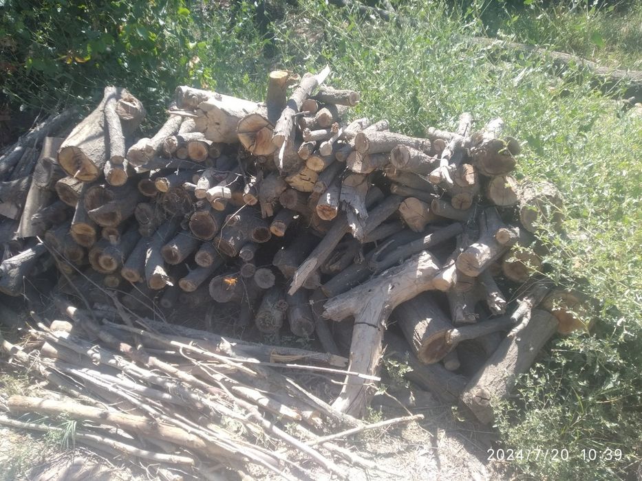 Utin sotiladi yaxshi narxada