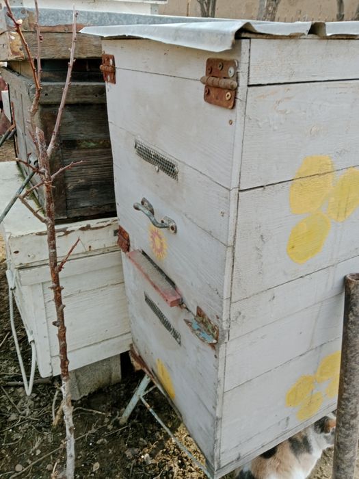 Улья для пчеловодства