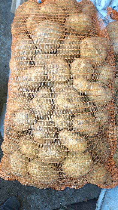 Vând porumb, cartofi , grâu , lucernă infoliat