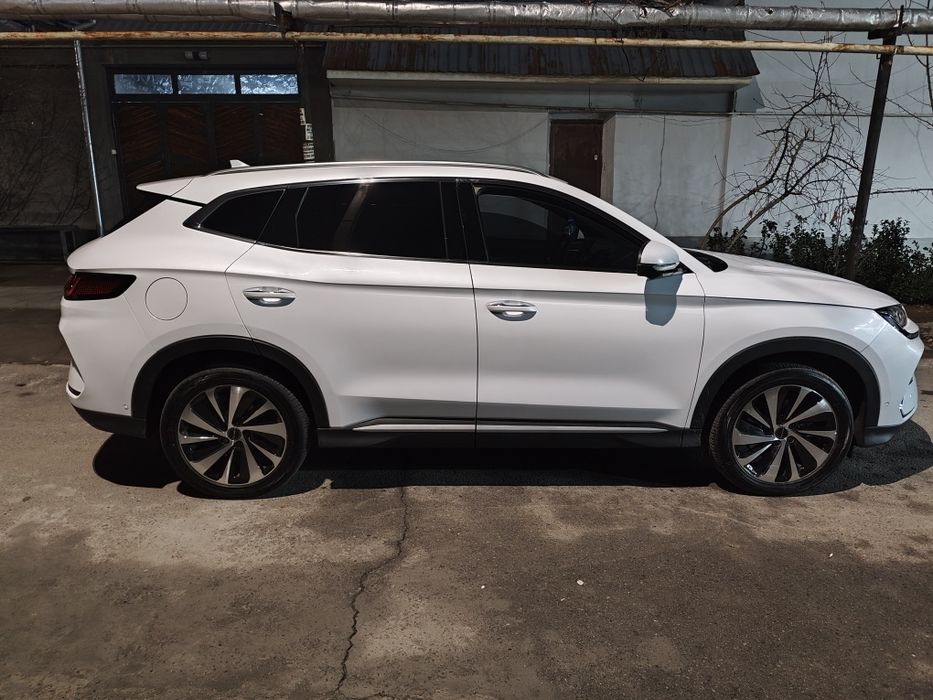 BYD. Чинпийон. 605.  Тали. Токда.